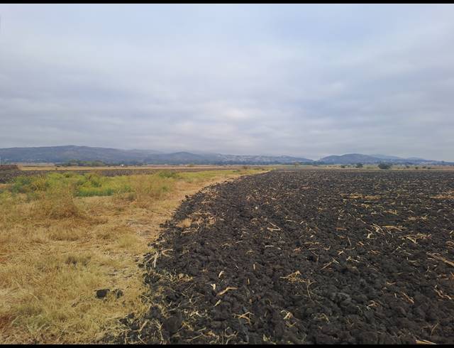 10.30HA FARM FOR SALE IN WATERKLOOF AH